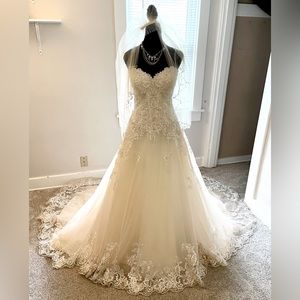 Wedding dress and veil